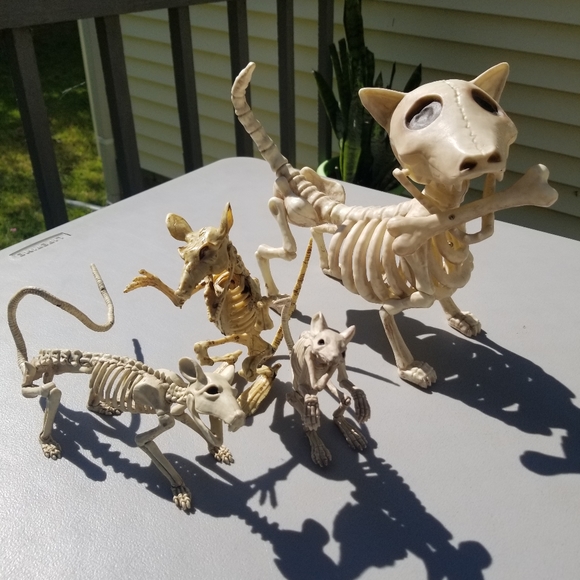 8 skeleton animals halloween - Picture 2 of 2